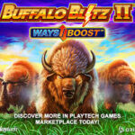 buffalo