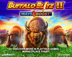 buffalo